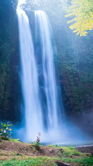 waterfall with aesthetic views in nature