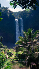 waterfall with aesthetic views in nature