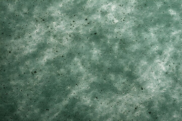 Dark green, mottled, and textured abstract background with countless small black specks, resembling the surface of bubbling liquid, sea foam, or rough, organic stone.