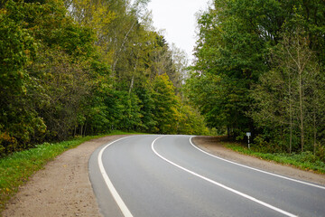Winding Asphalt Road Through a Lush Green Forest