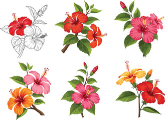 PrintColorful hibiscus flowers illustration, tropical floral art, exotic nature design, red pink yellow blooms, botanical vector branch, summer garden decoration