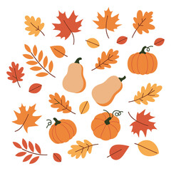Naklejka premium Autumn-themed arrangement of pumpkins, gourds, and colorful fall leaves in various shades of orange and red. Vector illustration