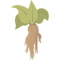 Stylized Root Vegetable Character with Green Leaves Against White Background Featuring a Simple Cartoonish Design