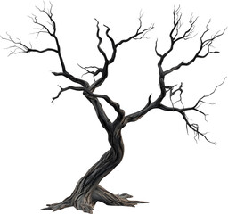 죽은 나무 이미지