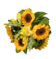 Yellow sunflower bouquet blooming top view cut out isolated transparent background