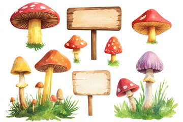 Watercolor hand-drawn mushrooms and clouds, vector illustration on a white background with a set of different signboard clipart.

