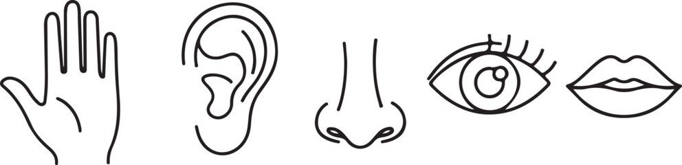 Line Art Icons Five Human Senses Black White Vector