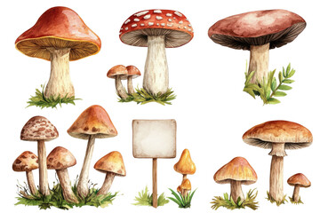 Watercolor mushrooms, in various shapes and sizes, with blank signs, in a clipart style on a white background.

