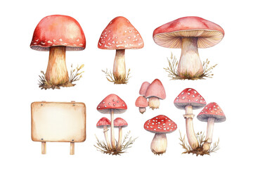 Watercolor mushrooms, in various shapes and sizes, with blank signs, in a clipart style on a white background.

