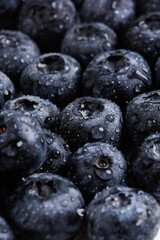 Blueberries soaked in water, detail close-up with water droplets