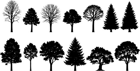 Fototapeta premium various deciduous trees silhouettes on the white background