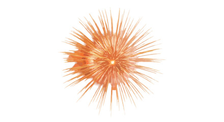 Vector  a vibrant burst of orange radiating outwards like a firework against a white background