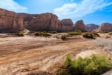 A dirt road with tire tracks through the spectacular Yardang landform mountain scenery in the desert, Xinjiang, China.