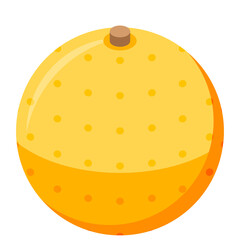 Yellow Orange Fruit With Brown Stem And Orange Dots On A White Background With Simple Flat Design Isolated