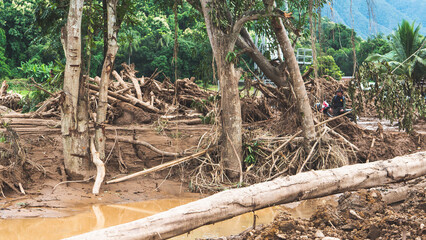 northern thailand floods land slips natural disaster homes damaged