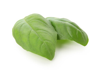 Basil leaves on white background