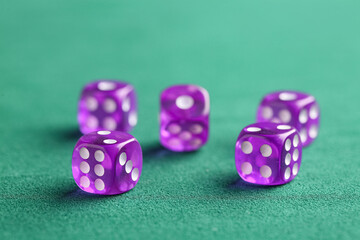Purple game dices on green background