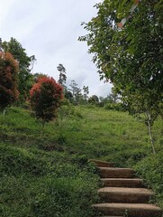 stairway to the mountain