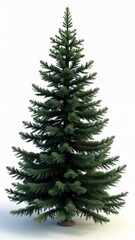 Fototapeta premium A 3D rendering of a small evergreen tree on a white background.