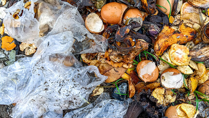 Close-up view of mixed garbage: compostable food scraps (egg shells, fruit peels) and non-biodegradable plastic on the ground. Concept of environmental pollution, sorting, and waste management.