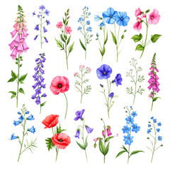Pink floral pattern with spring flowers and butterflies on white background