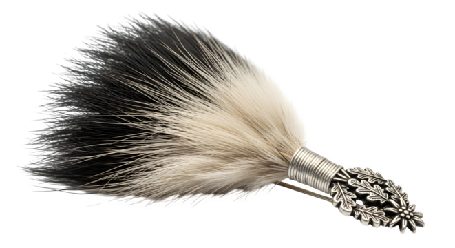 Closeup of a feather hackle isolated on transparent background, a traditional scottish accessory, featuring black and white feathers and a silver mount
