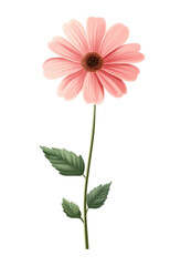 Watercolor simple, cute, and adorable pink flower with green leaves on a long stem, clipart isolated on a white background.