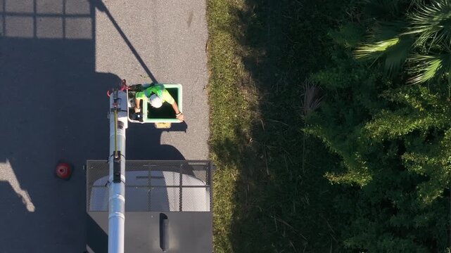 Electrician worker trimming tree limbs to prevent damage to power lines using bucket truck in Florida residential area.
