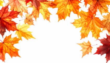 秋色に染まるカエデの葉｜背景なし・透過PNG・コピースペース