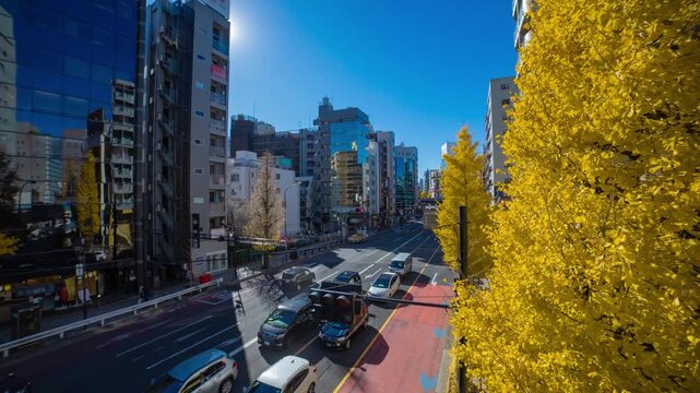 A timelapse of traffic jam at city street with yellow leaves in Tokyo wide shot tilt
