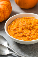 Raw Organic Cooked Pumpkin Puree