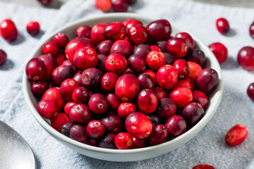 Healthy Organic Red Raw Cranberries