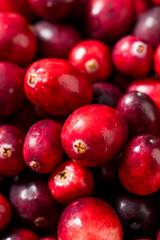 Healthy Organic Red Raw Cranberries