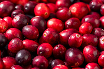 Healthy Organic Red Raw Cranberries