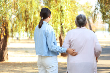 Fototapeta premium Senior woman with caregiver walking in park, back view