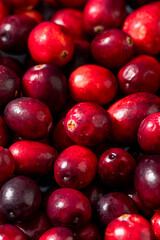 Healthy Organic Red Raw Cranberries
