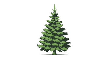 Fototapeta premium Vector illustration of a single evergreen tree with green needles and a conical shape design art