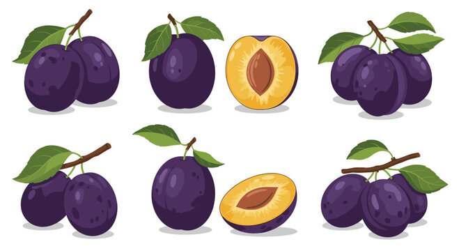 A collection of delicious ripe plums on a branch with one cut in half to show its juicy pit and flesh.