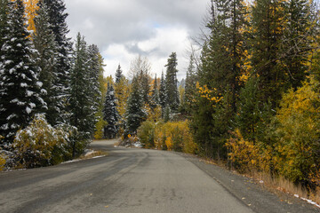Winding road through a coniferous forest with fall foliage and early snow in Manning Park British Columbia Canada