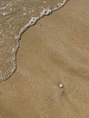 Minimalist close-up of a small sea wave touching smooth sand, capturing calm coastal beauty.