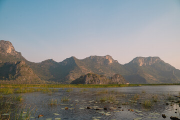 The mountain looms over a green landscape where a swamp meets a tranquil lake, water reflecting the sky, a single cloud drifting in peaceful, untouched nature.