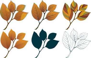 Set of hand-drawn fall brown-yellow colored elm autumn leaves isolated on white background. Flat and line styles vector illustration.