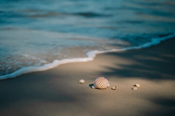 In summer, we travel to the beach where the ocean meets the sea, water sparkles under the sun, and nature’s beauty turns every vacation into a perfect escape.