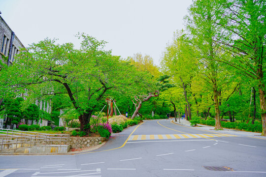 Yonsei, University, Seoul, South Korea: 04 30 2025: Spring landscape  of  Yonsei, University, Seoul, South Korea