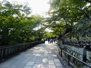 Stone Walkway Ascending Through Summer Greenery in Kyoto, Japan