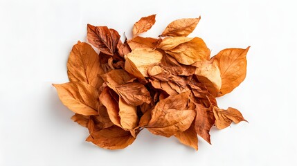Scattered dry brown and orange leaves arranged on a white background.