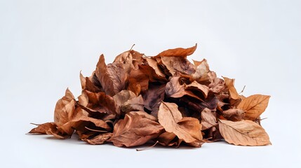 Fototapeta premium Pile of dry brown leaves on a white background.