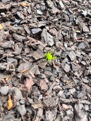 recycle symbol on the ground