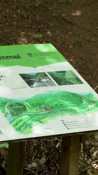 Slow Pan Across Informational Sign in Scottish Highlands Forest