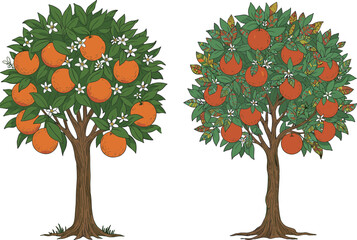 Two fruit trees with orange, apple, and berry fruits, lush foliage, botanical diversity, farming concept, garden harvest, nature education illustration